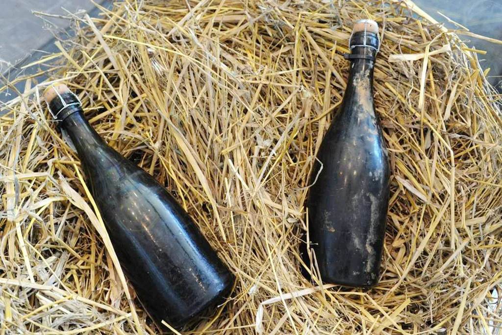 Top 10 Most Expensive Champagnes in the World, Blog