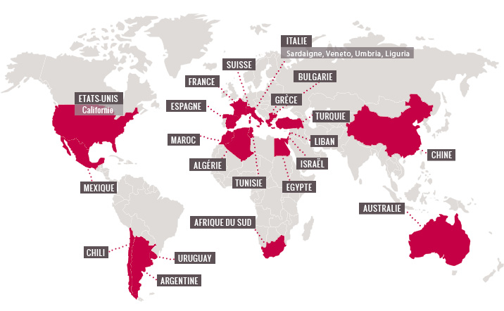 Mapa de garnachas del mundo