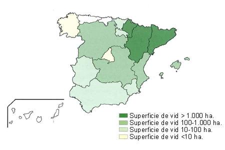 Distribución de las viñas de Cabernet Sauvignon en España