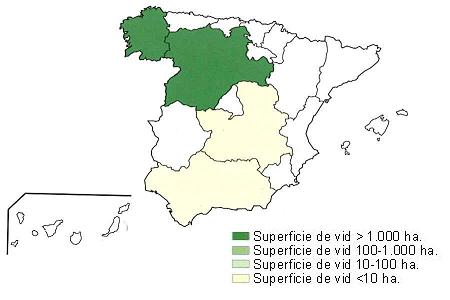 Distribución de las viñas de mencía en España