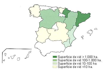 Distribución de las viñas de Merlot en España