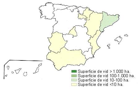 Distribución de las viñas de Syrah en España