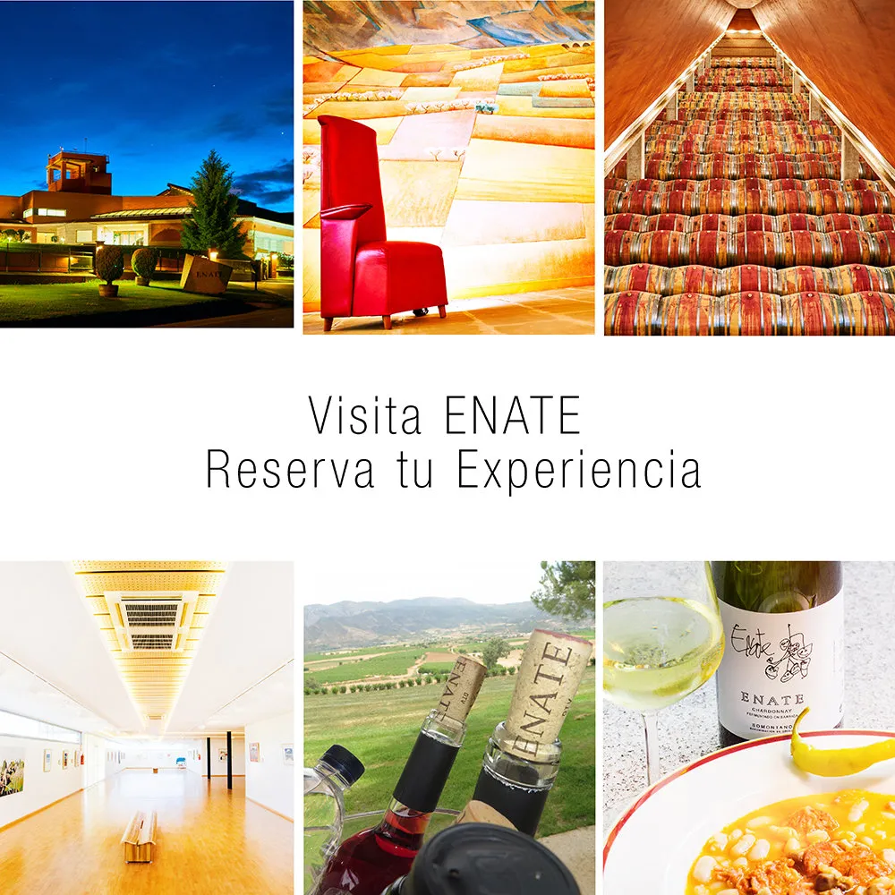 visita enate